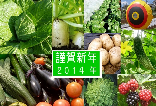 年賀2014野菜.jpg
