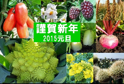 野菜年賀状2015-2.jpg